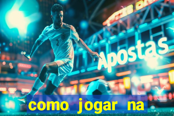 como jogar na lotinha do jogo do bicho